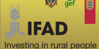 Asistență și suport tinerilor antreprenori autohtoni pentru granturile IFAD