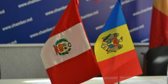 Circa 20 de companii au participat la Forumul de afaceri Moldova – Peru organizat la CCI a RM