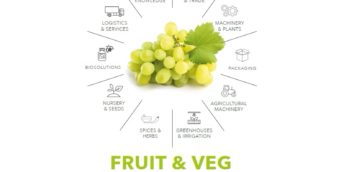 MACFRUCT 2024 – Fruit & Veg Professional Show 8-9-10 MAY 2024 Rimini EXPO Centre-Italy